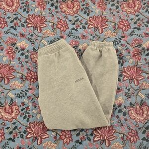 Aritzia Mega Fit Sweatfleece Joggers Pants XS Gray